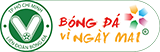 Liên đoàn đá bóng TP. Hồ Chí Minh