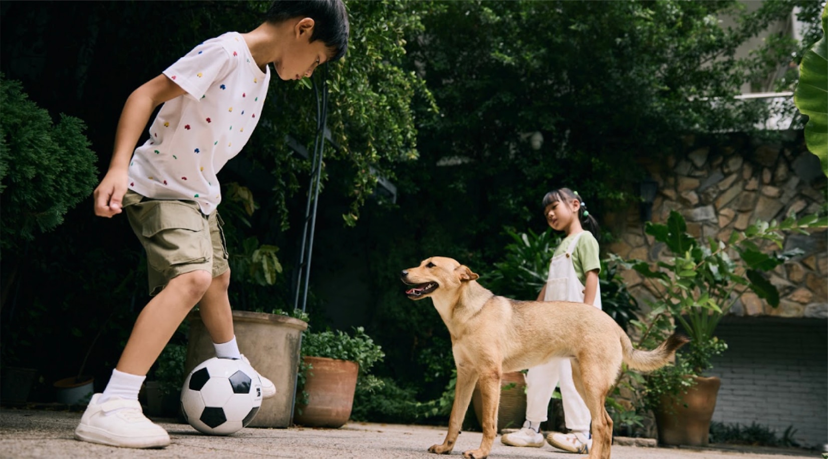 Trổ tài chơi bóng cùng cún
