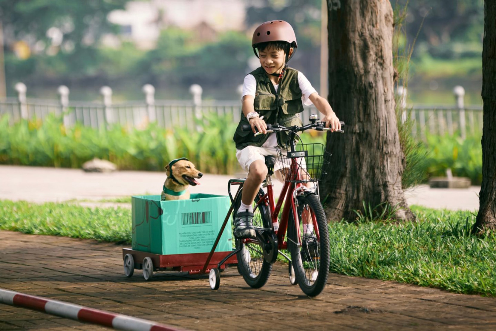 Đạp xe khám phá cùng cún