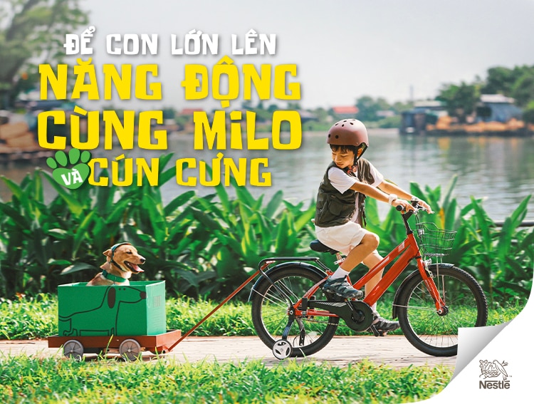 Bé đạp xe cùng cún cưng bên bờ sông