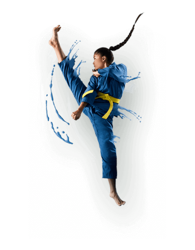 vovinam
