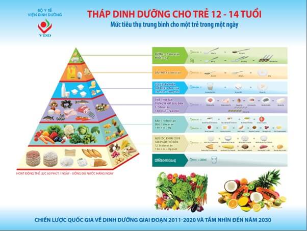 Tháp dinh dưỡng hợp lý cho trẻ 12-14 tuổi.