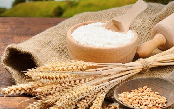 
Lúa mạch có thật sự tốt cho trẻ không?
